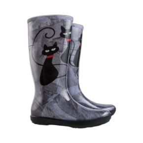 Obrázek pro kategorii dámské holínky